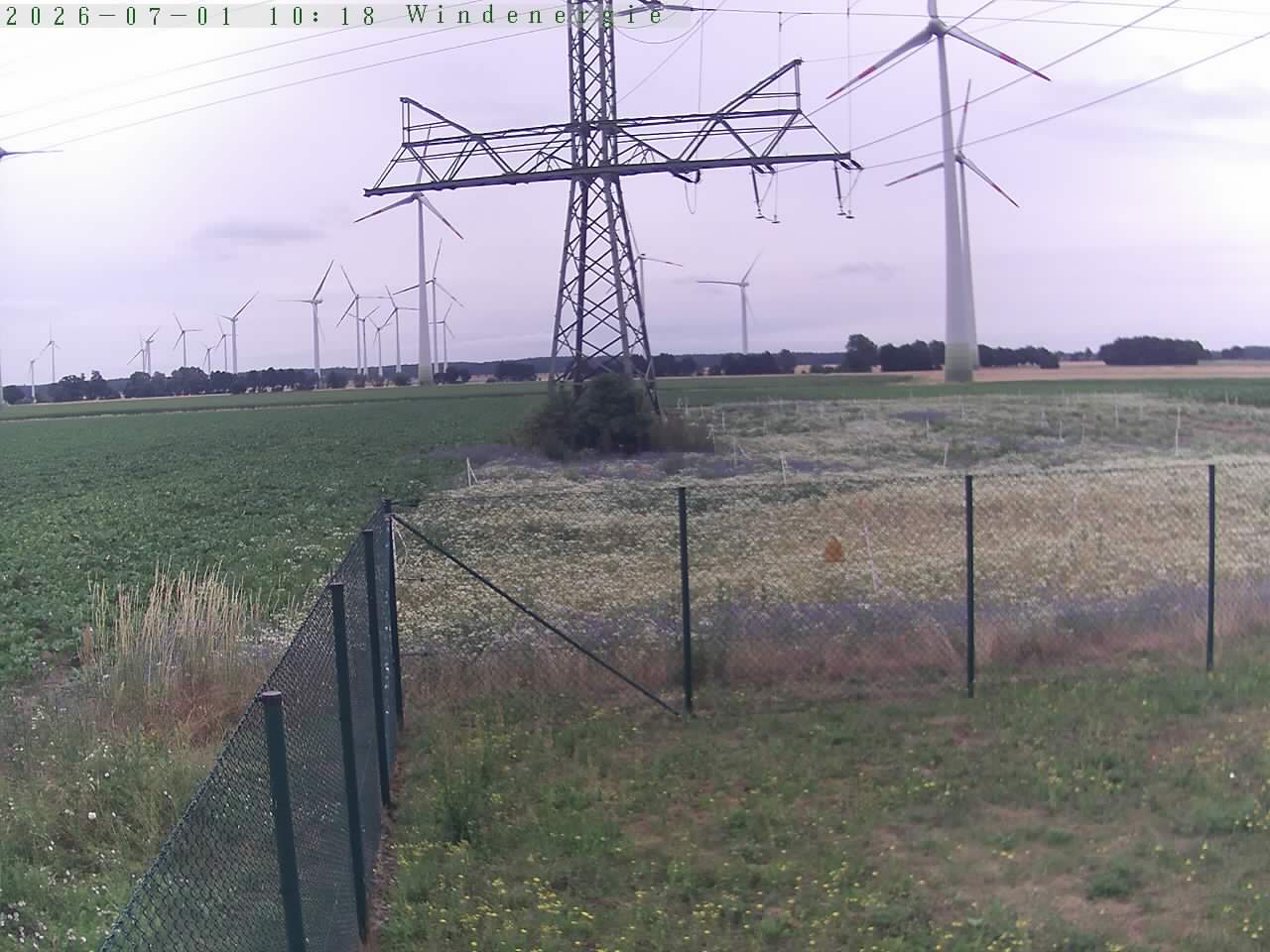 Bild 483