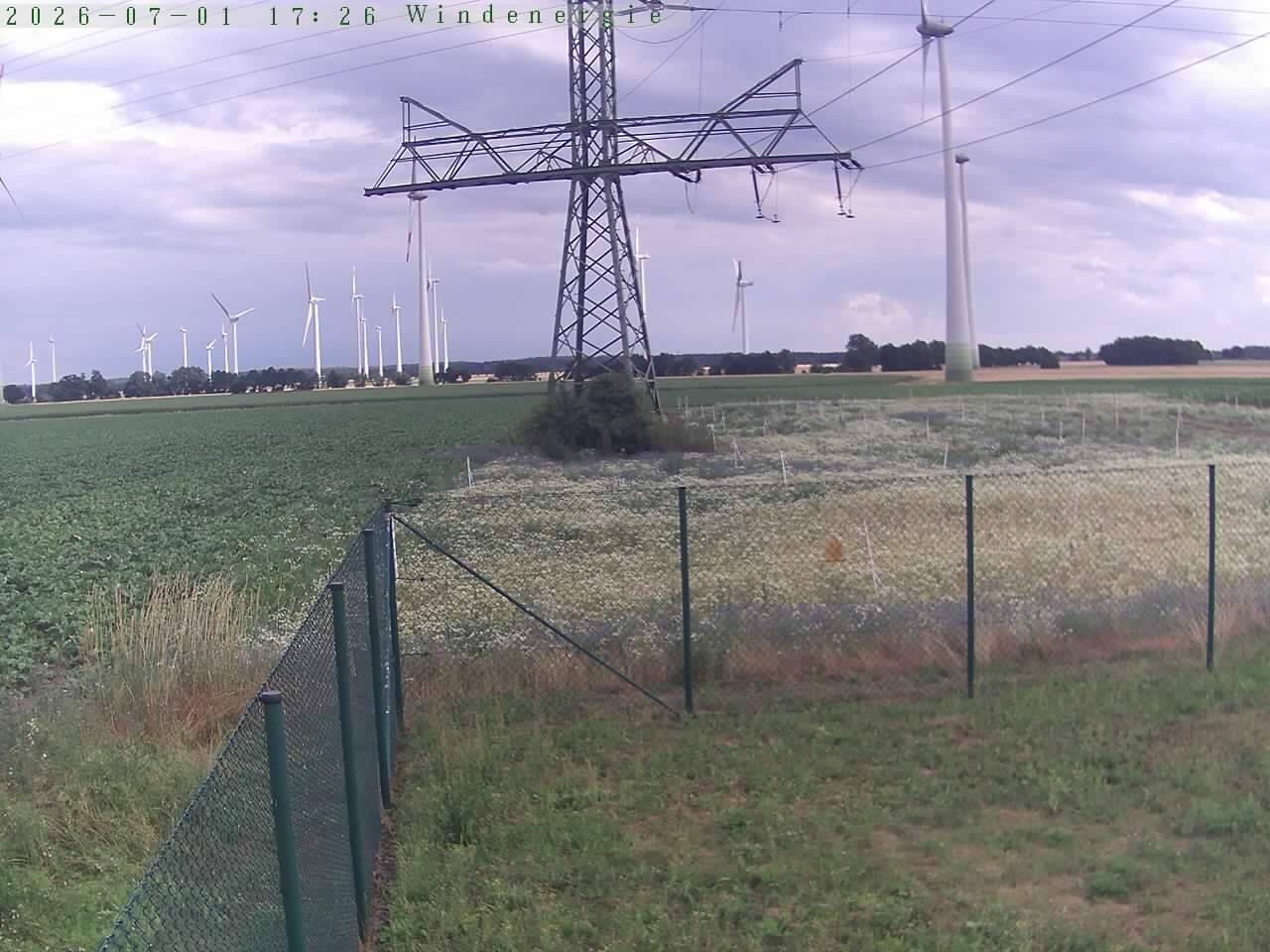 Bild 479