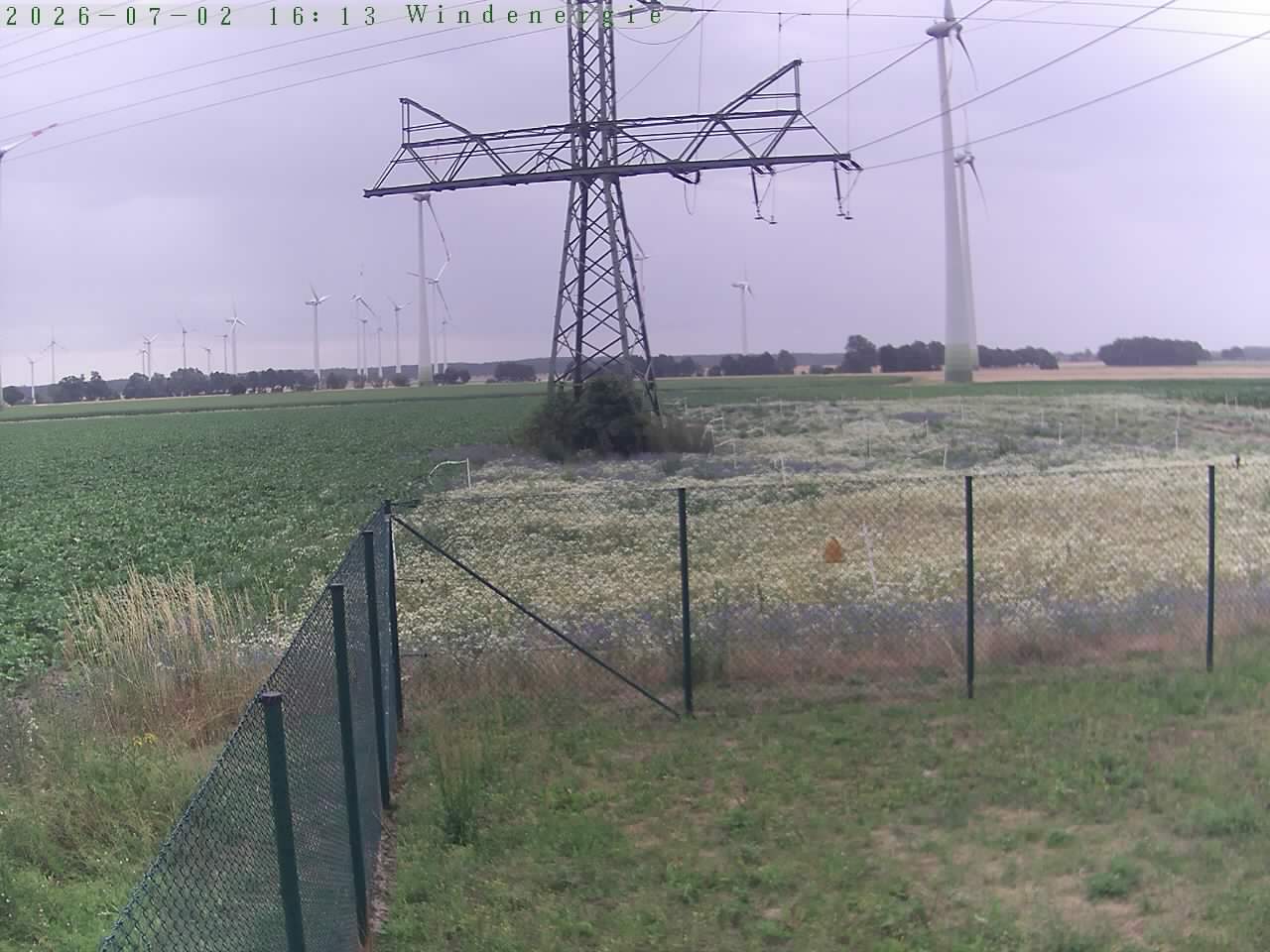 Bild 466