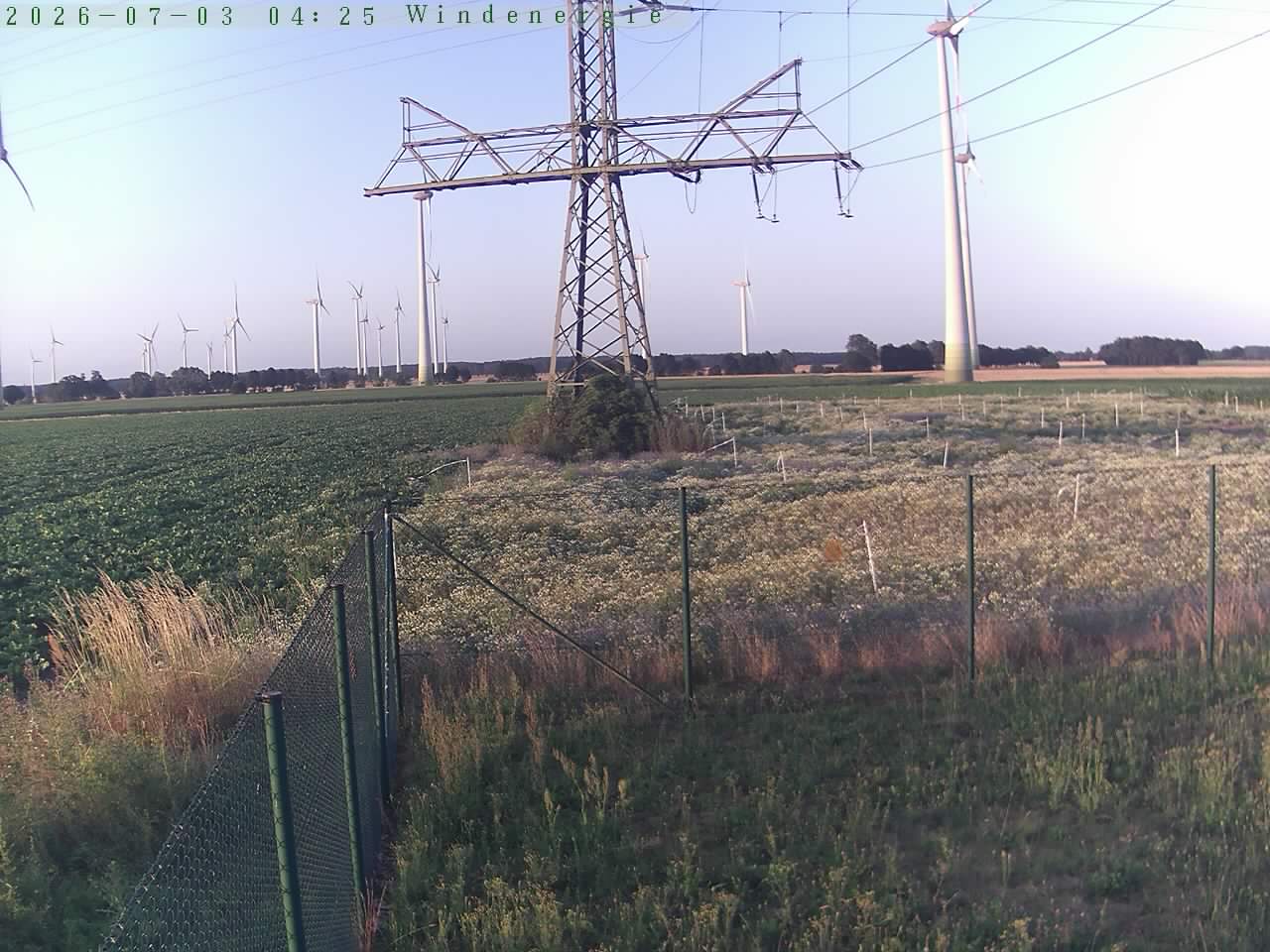 Bild 459