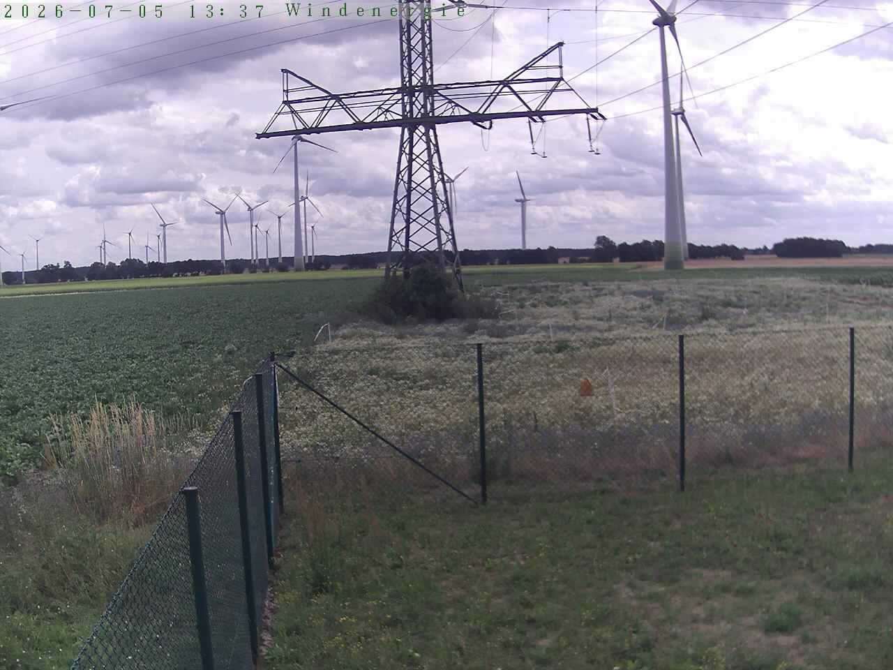 Bild 426