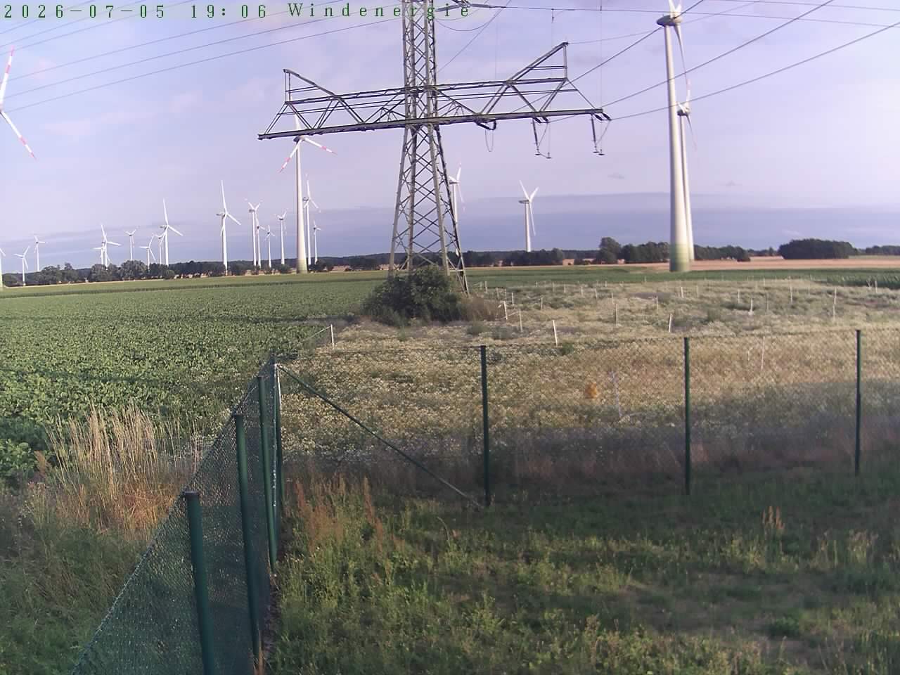 Bild 423