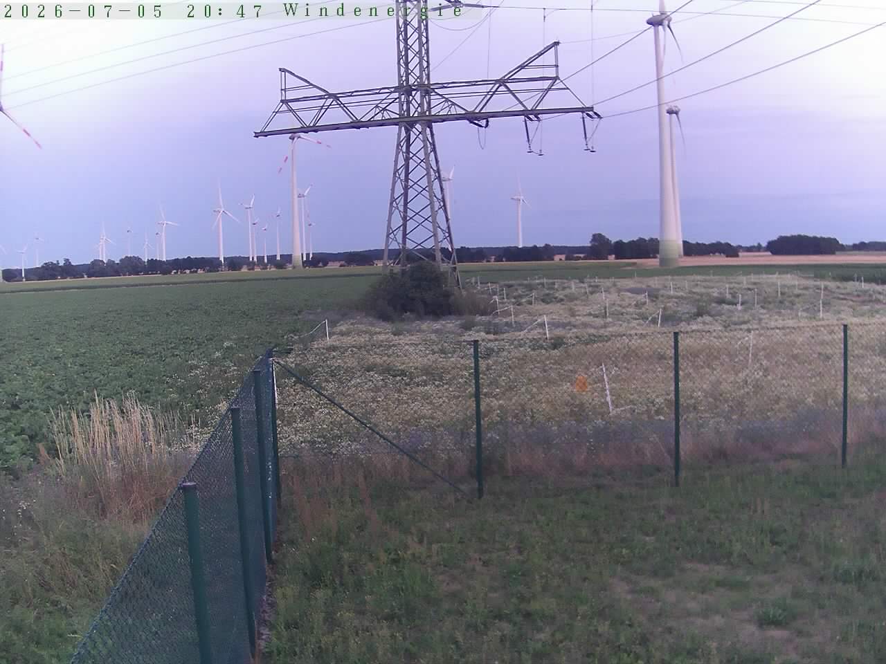 Bild 422