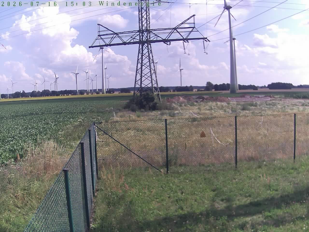 Bild 276