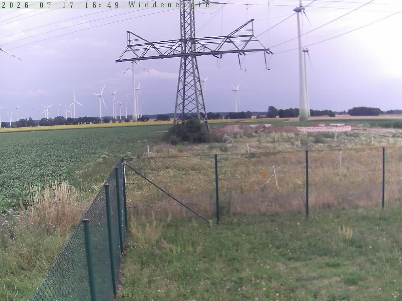Bild 262