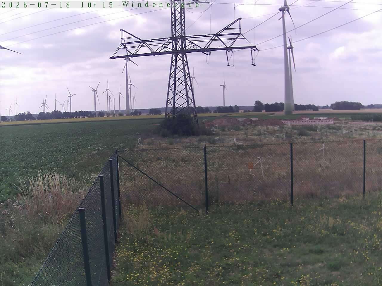 Bild 252