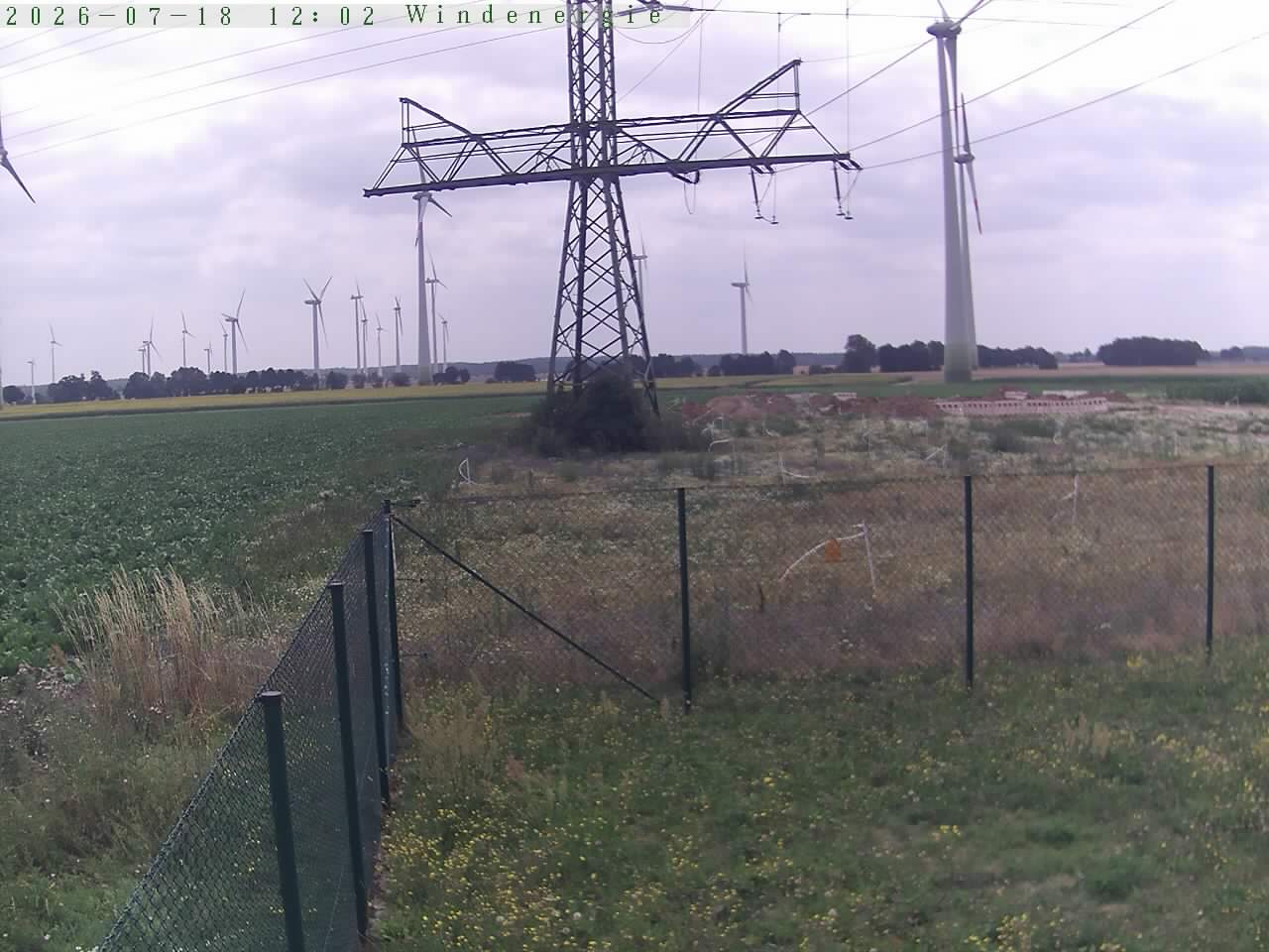 Bild 251