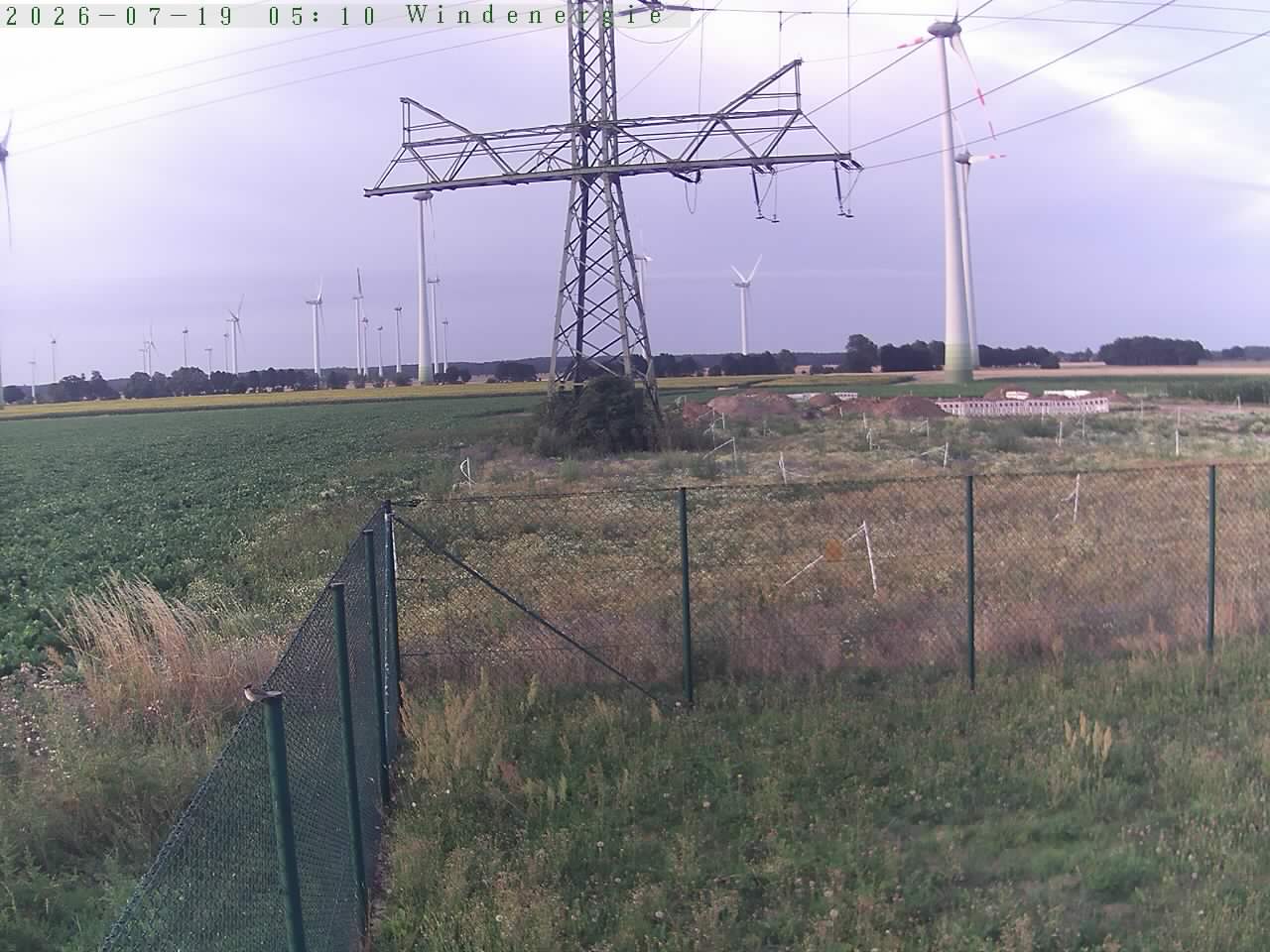 Bild 241