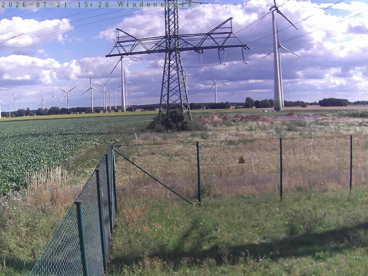Bild 207