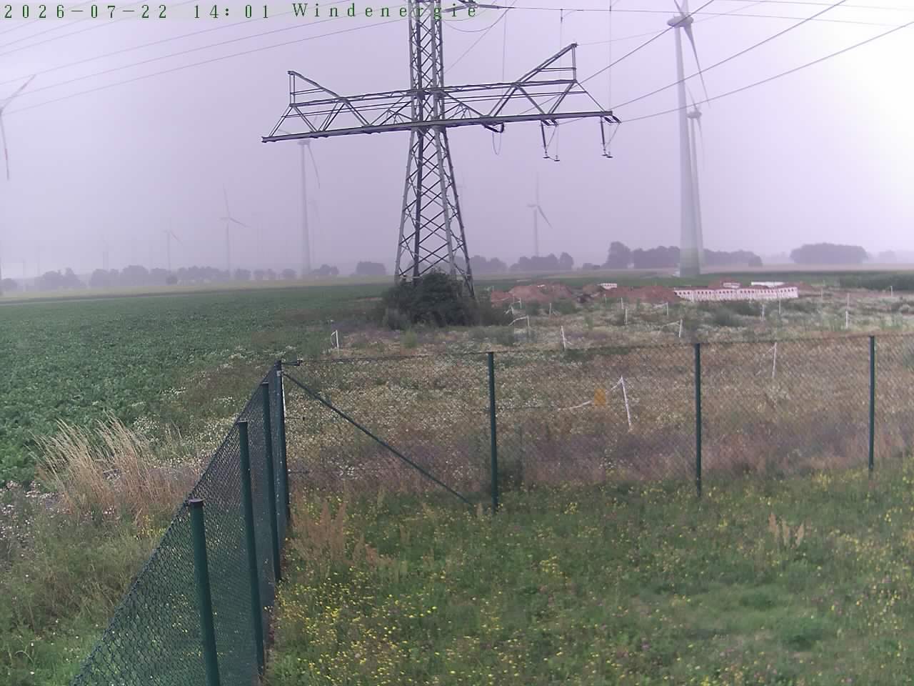 Bild 194