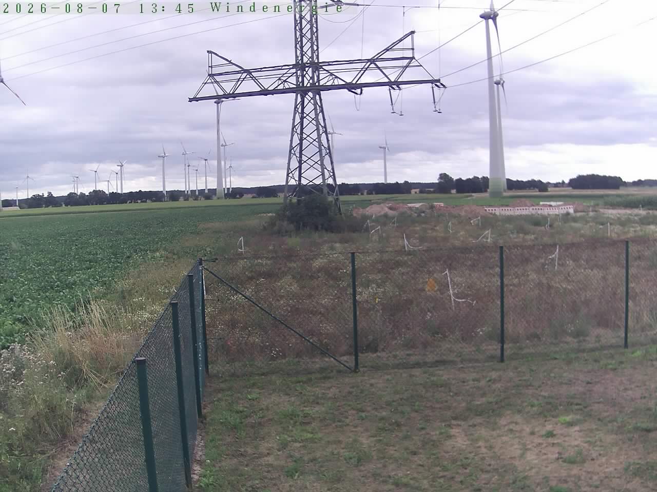 Bild 131