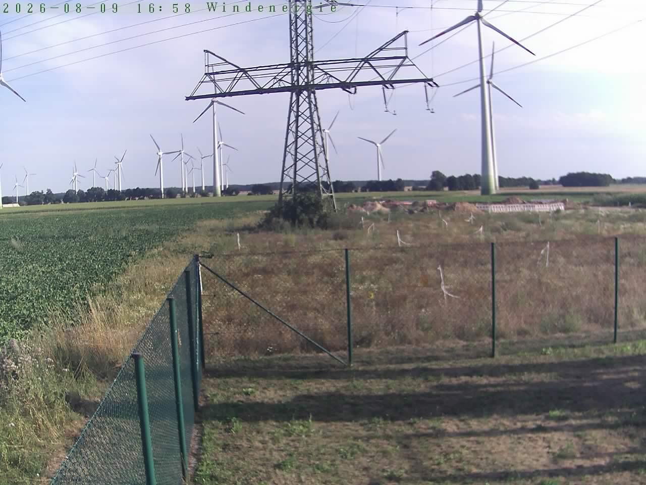Bild 99
