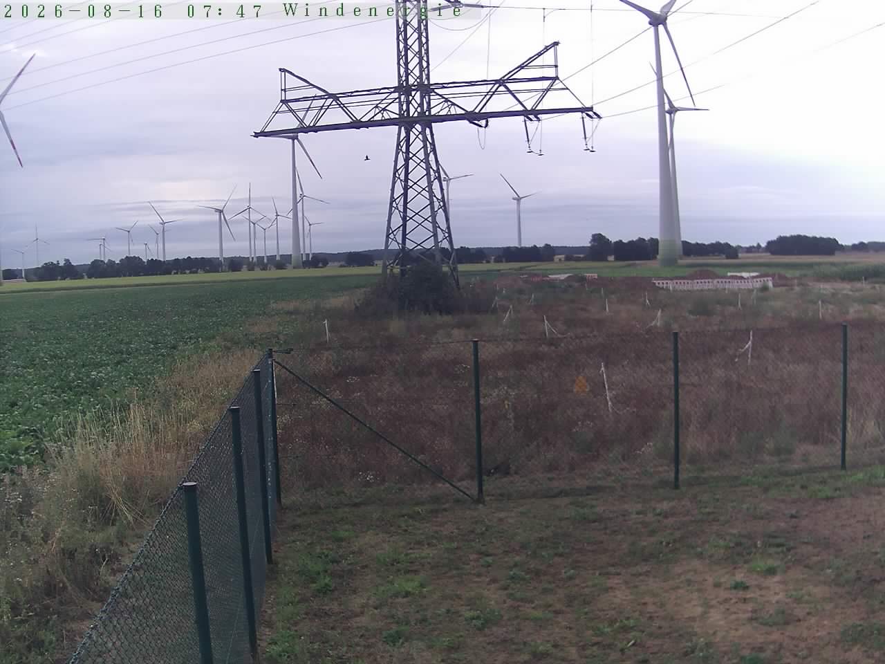 Bild 0