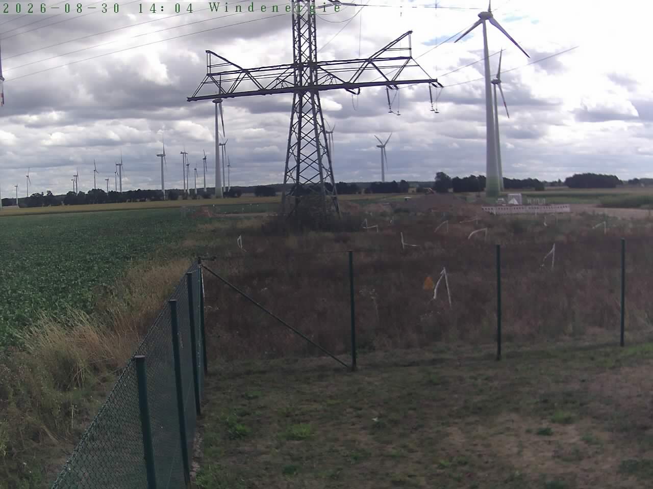 Bild 271