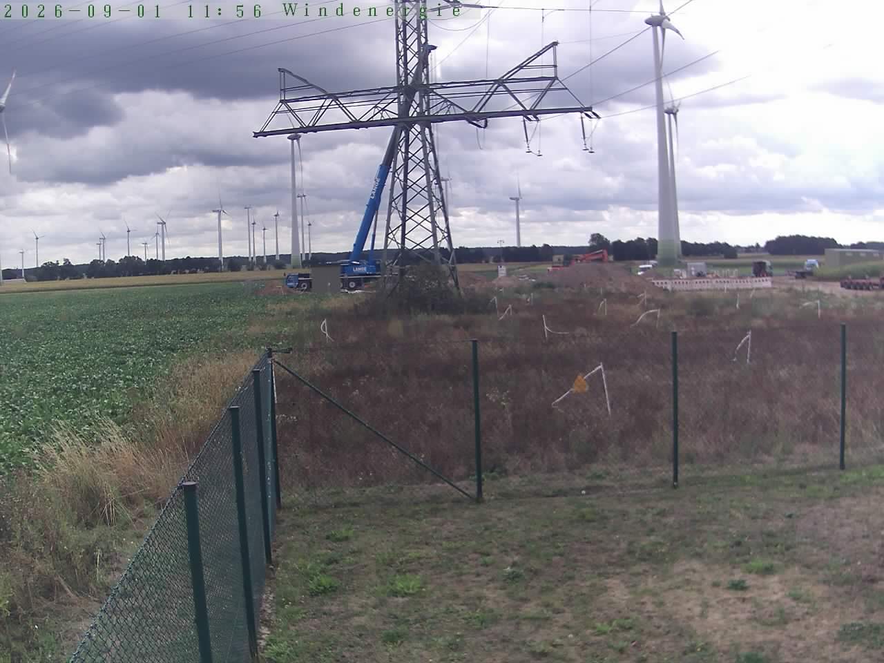 Bild 242