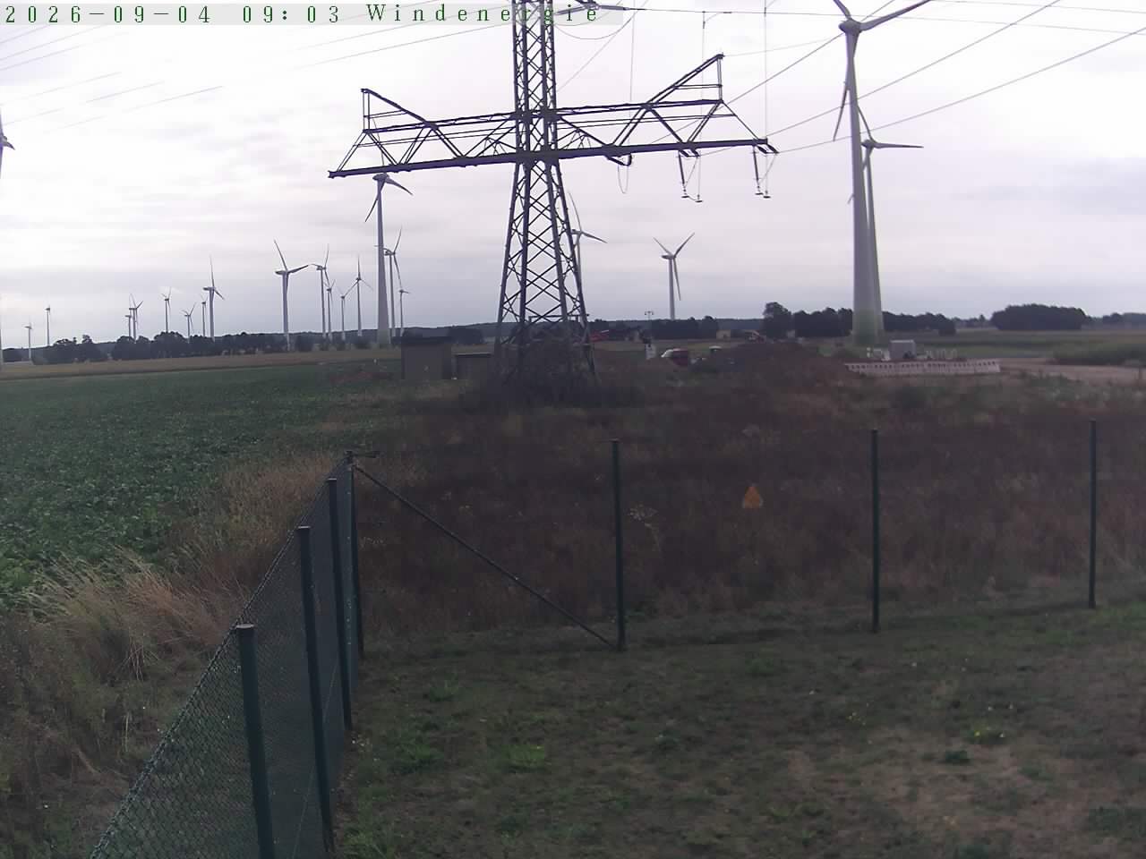 Bild 198