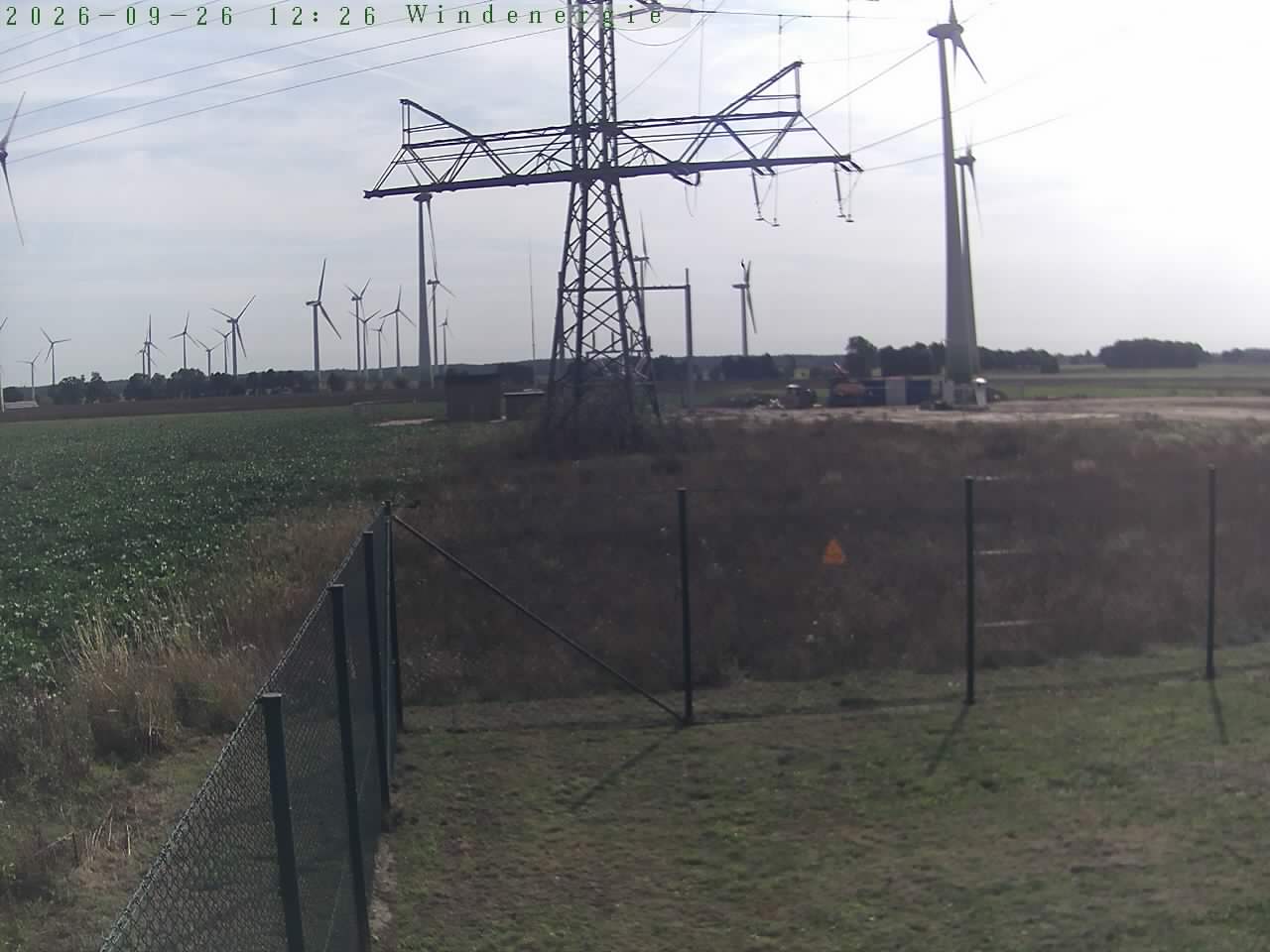 Bild 243
